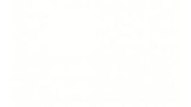 nuevo alaska płytki