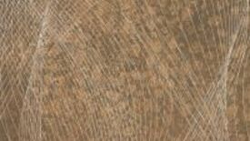 paradyż freedom płytki