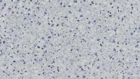 savoia italia marmette