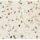 mediterranea terrazzo multicolor gres rektyfikowany 60x60 