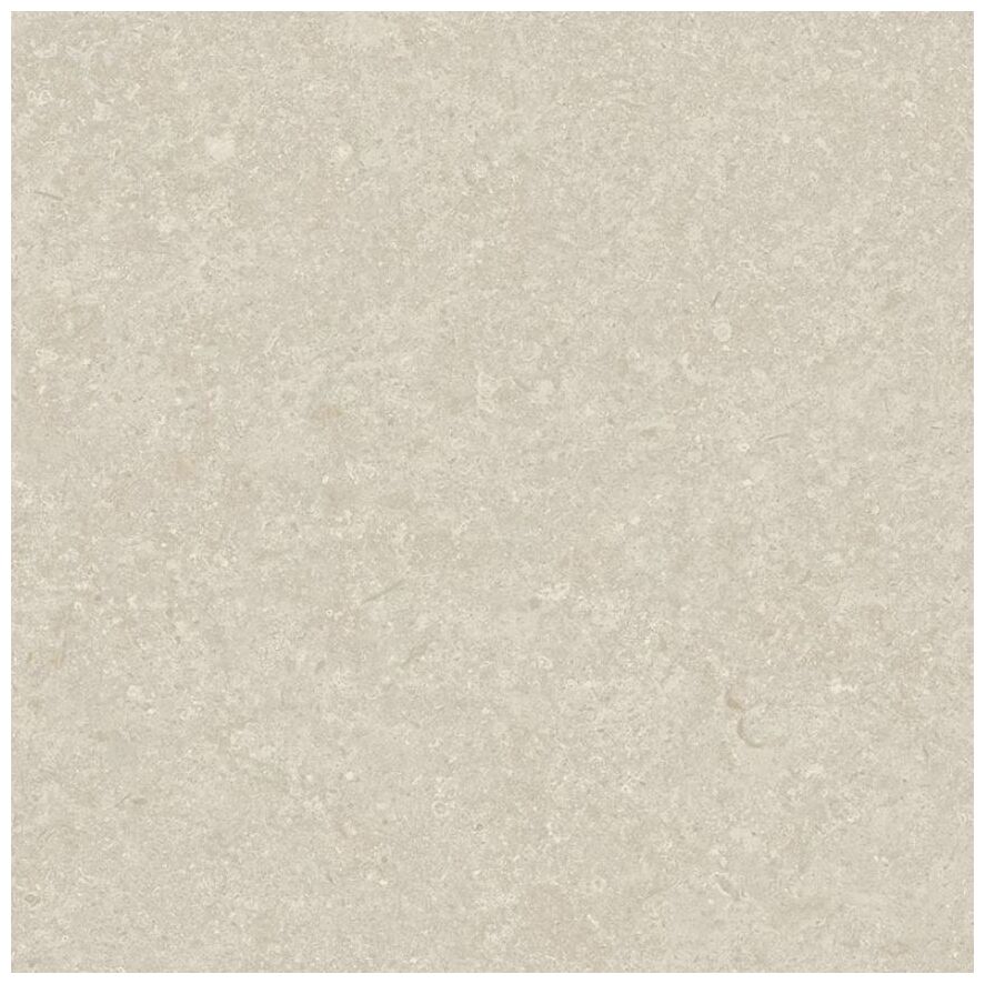 arcana cupola-r bone gres rektyfikowany 80x80 