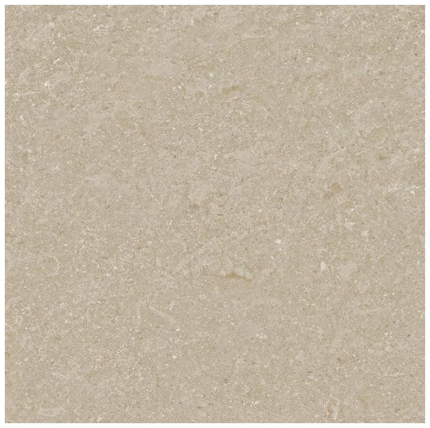 arcana cupola-r taupe gres rektyfikowany 80x80 