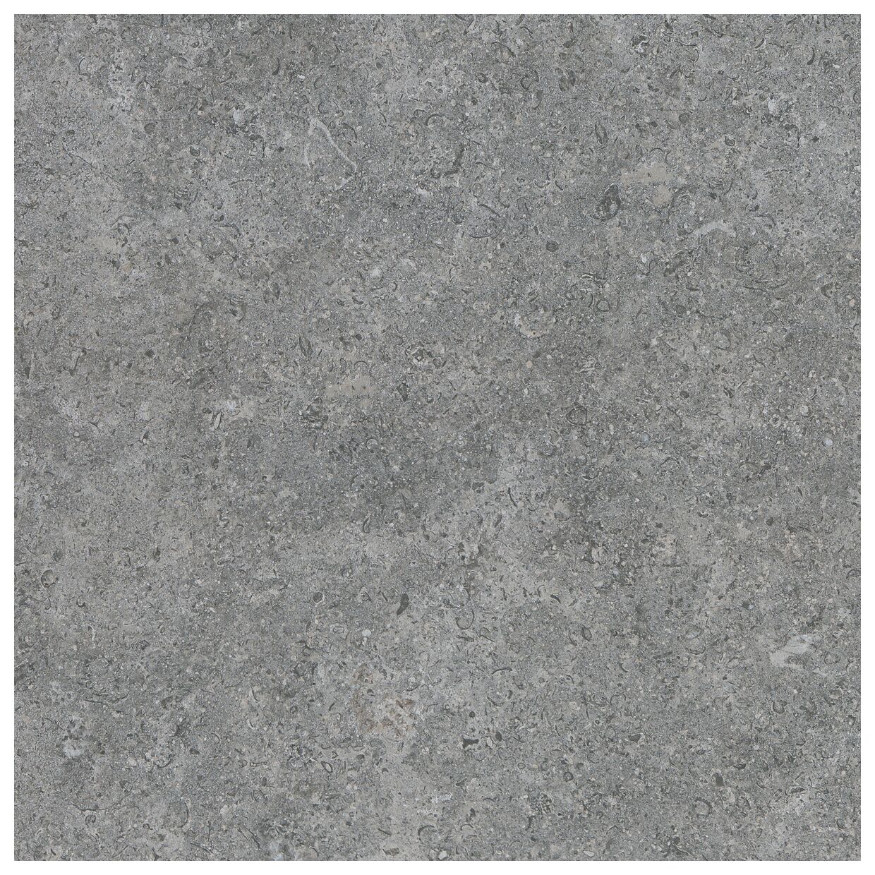 argenta etienne grey gres rektyfikowany 60x60 