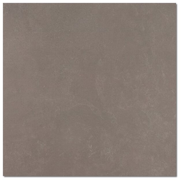 argenta tanum noce gres rektyfikowany 60x60 