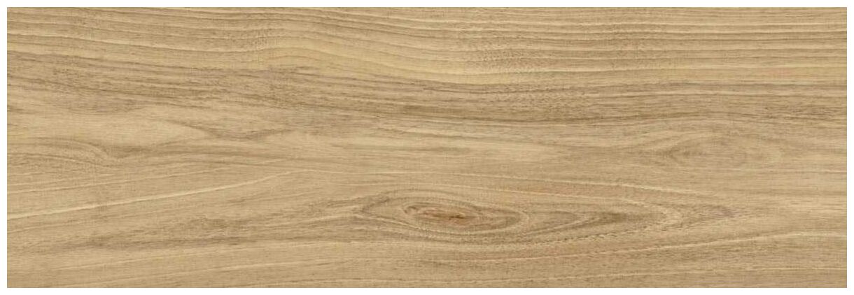 bianca dreamwood glossy płytka ścienna 25x75 