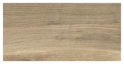 ceramika końskie brentwood honey płytka ścienna 30x60 