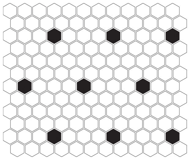 dunin mini hexagon b&w spot mozaika premium mat 26x30 