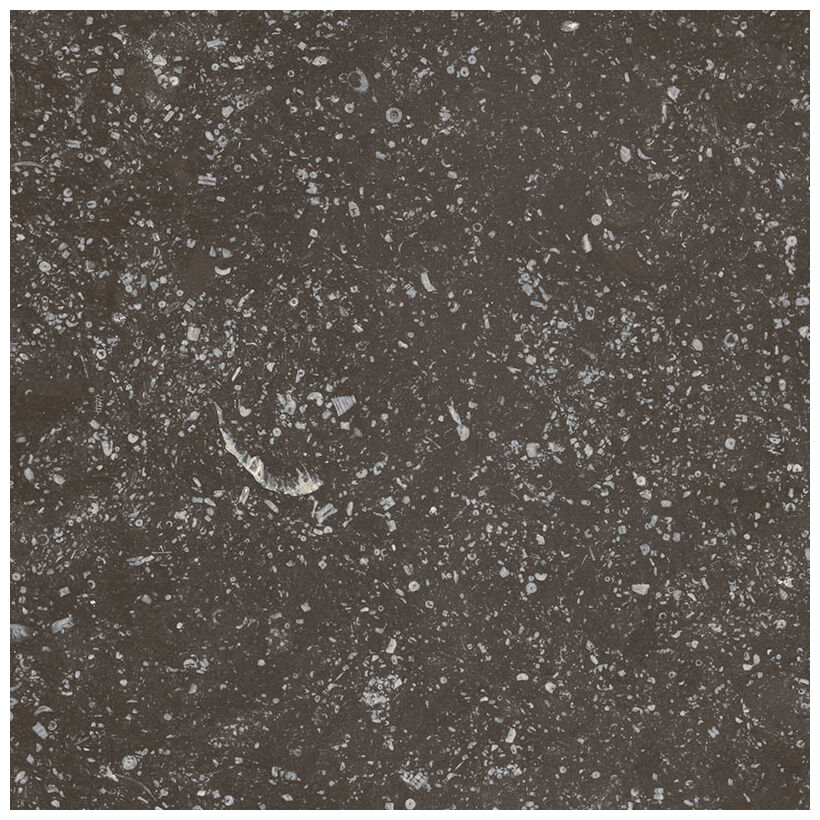 equipe coralstone black gres 20x20 (23569) 
