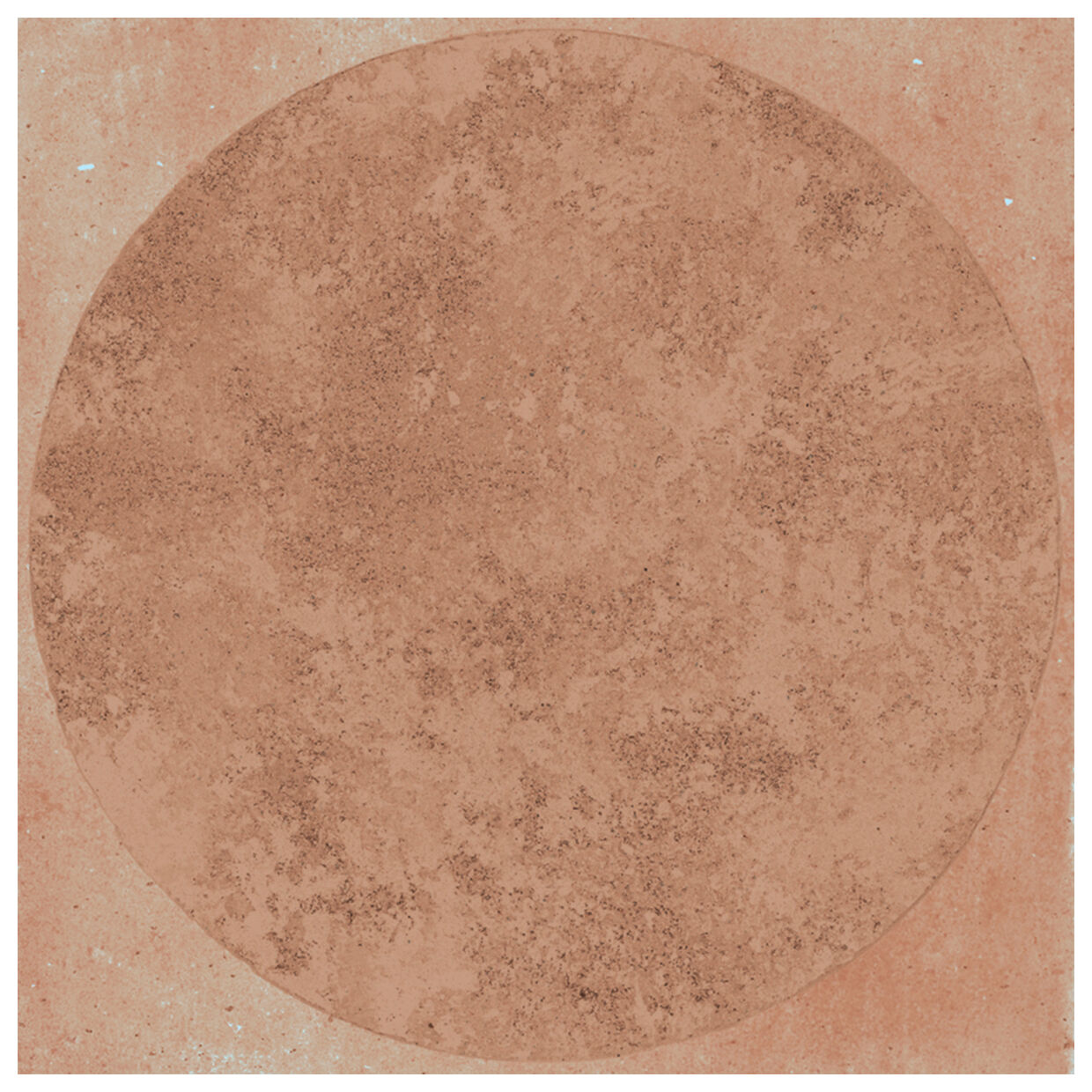 marazzi artcraft cotto decoro bolli mgvs 20x20 