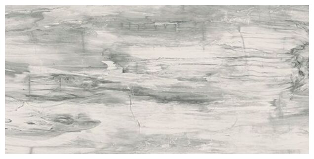 mariner petrified wood white naturale gres rektyfikowany 60x120 