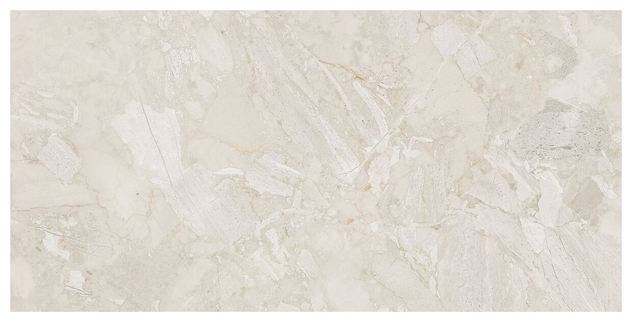 maxibox aarchid mud polished 60x120 