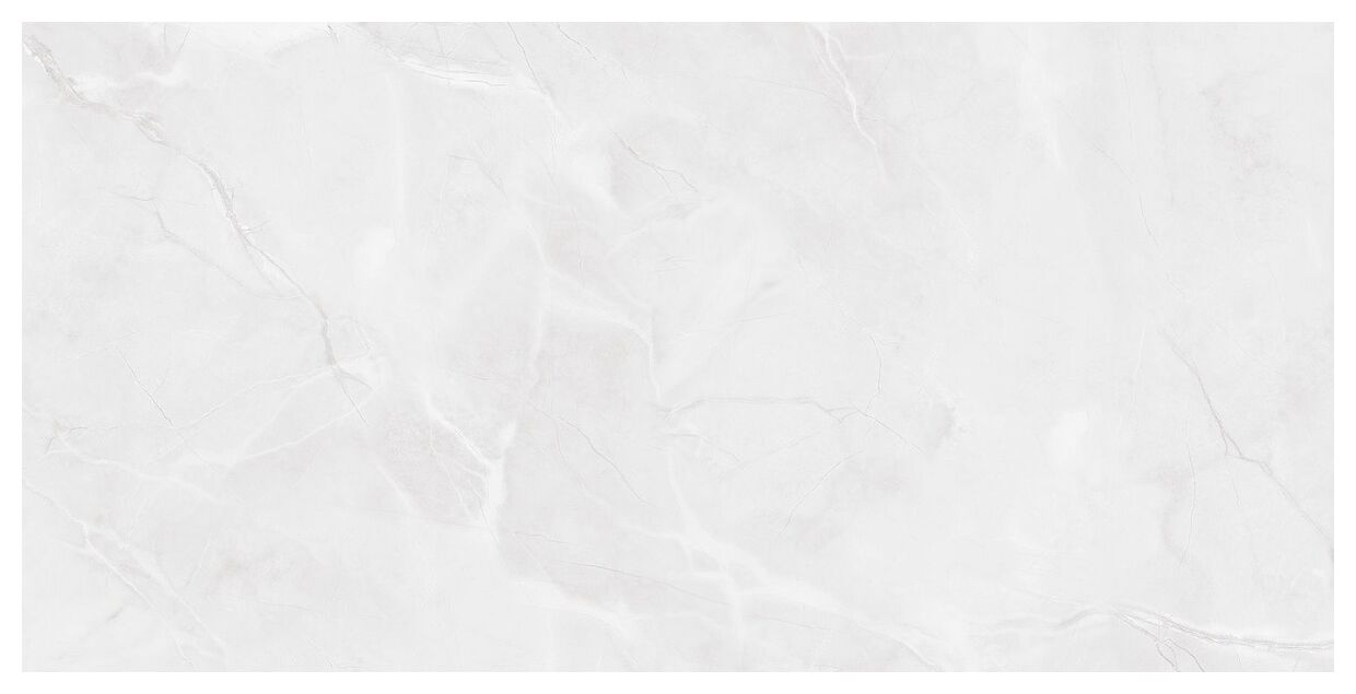 maxibox alaska grey light polished 60x120 