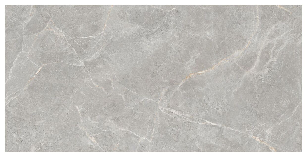 maxibox olivia grey polished 60x120 