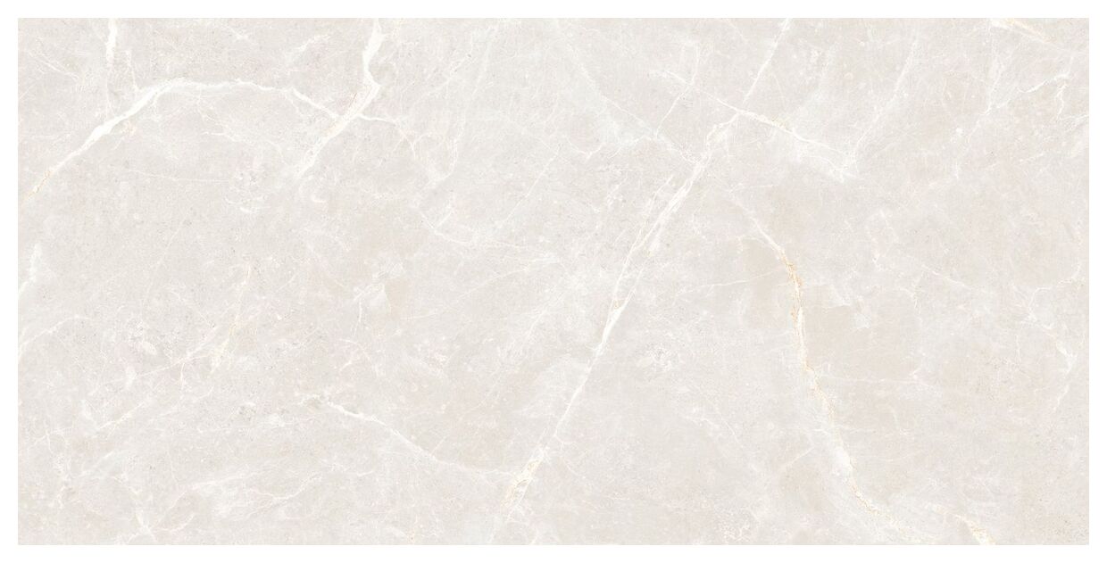 maxibox olivia silver polished 60x120 