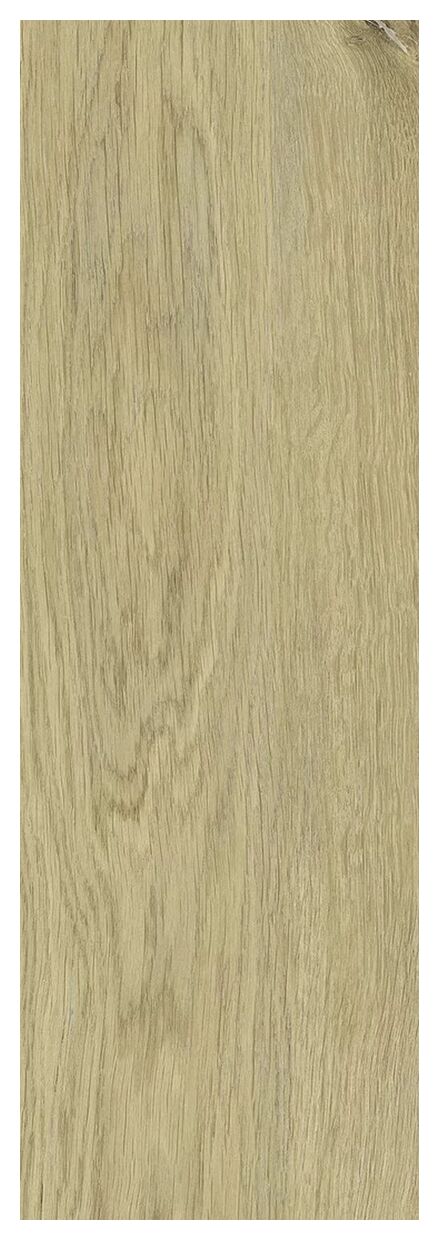 paradyż decorwood crema struktura mat gres 20x60x0.72 