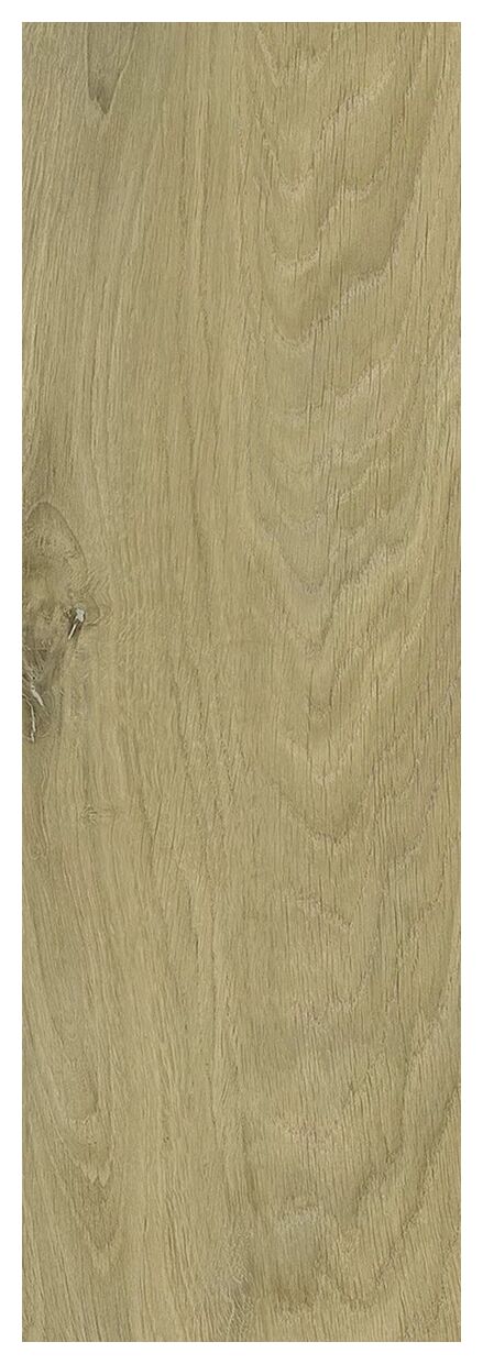 paradyż decorwood gold struktura mat gres 20x60x0.72 