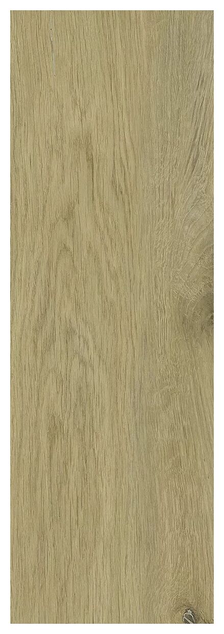 paradyż decorwood gold struktura mat gres 20x60x0.8 