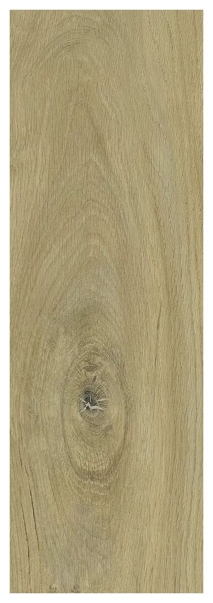 paradyż decorwood gold struktura mat gres 20x60x0.8 