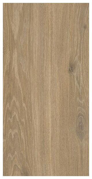 paradyż ideal wood natural płytka ścienna 30x60 