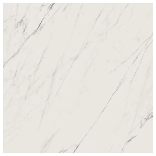 paradyż elite white poler gres rektyfikowany 59.8x59.8 