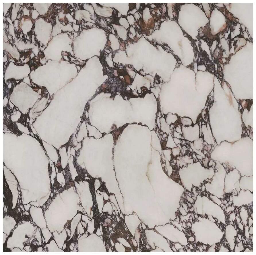 paradyż velvet symphony viola gres poler rektyfikowany 119.8x119.8 