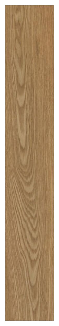 paradyż trueland gold gres mat rektyfikowany 19.8x119.8x0.9 