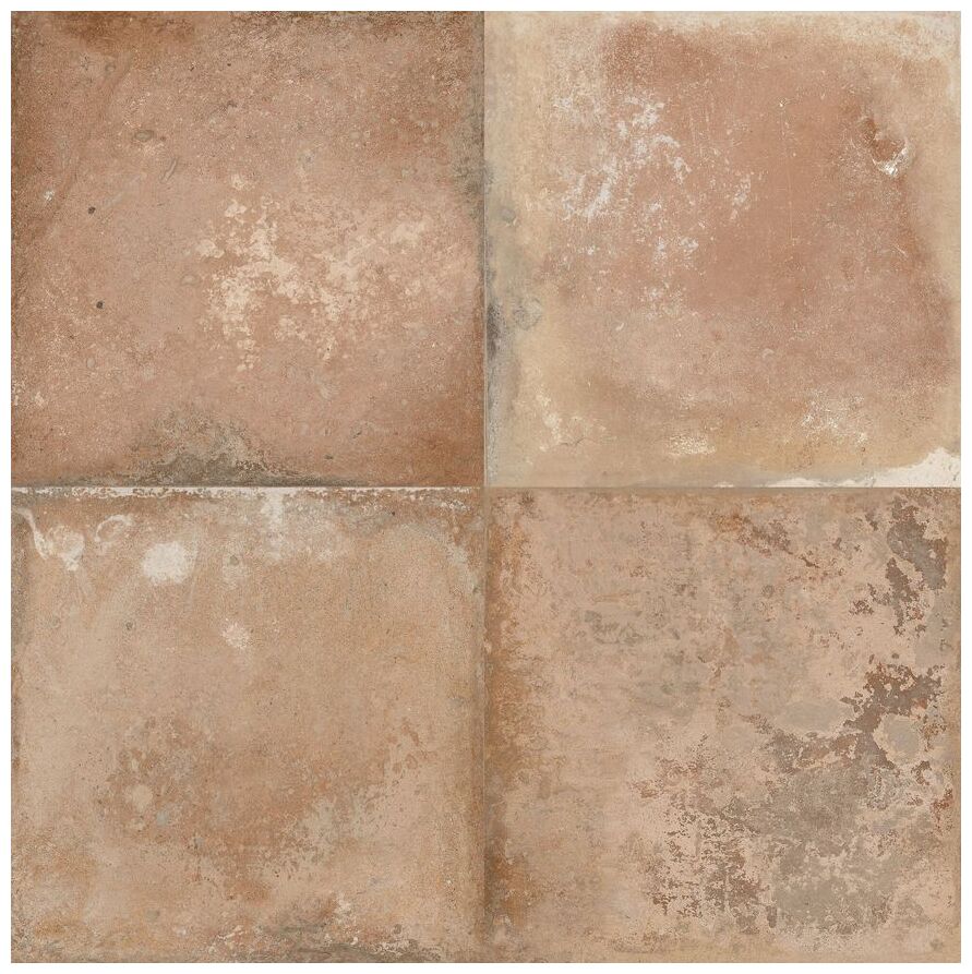 peronda fs storia natural-4 gres 22.3x22.3 (42702) 