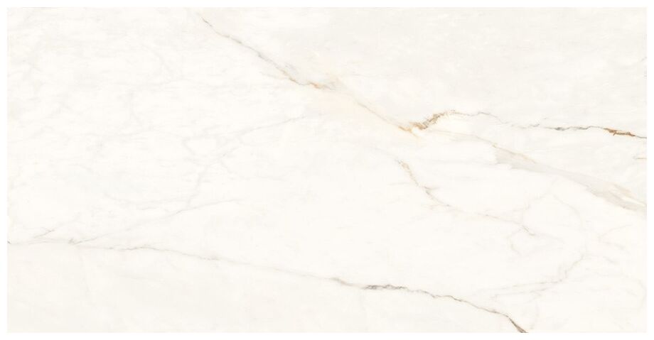 proceramica royal calacatta gres poler rektyfikowany 60x120 