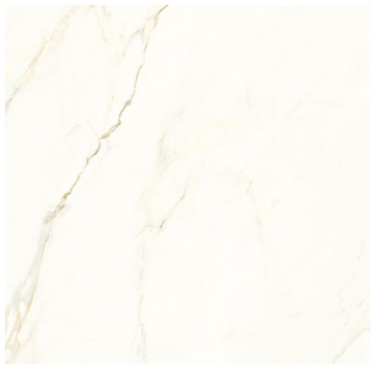 proceramica royal calacatta gres poler rektyfikowany 60x60 