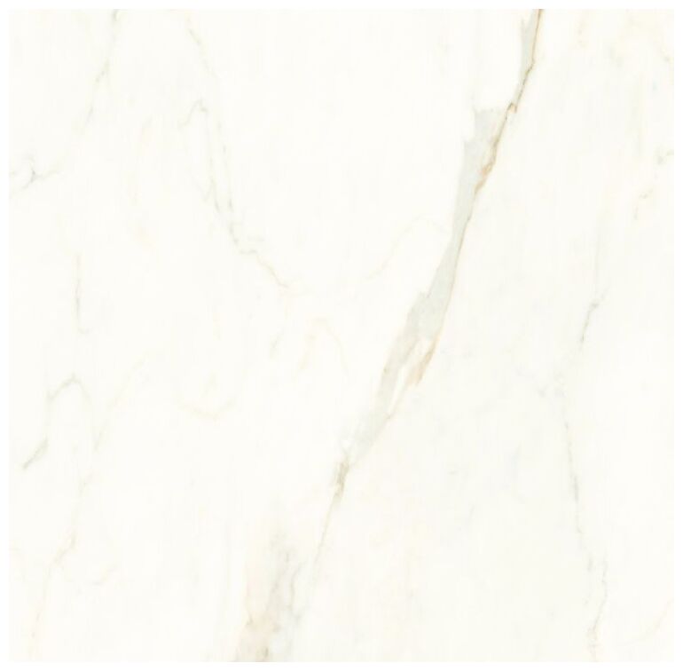 proceramica royal calacatta gres poler rektyfikowany 60x60 