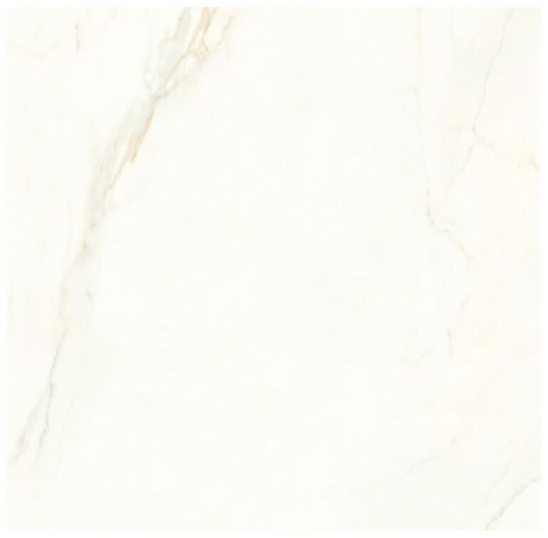 proceramica royal calacatta gres poler rektyfikowany 60x60 