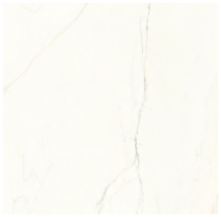 proceramica royal calacatta gres poler rektyfikowany 60x60 