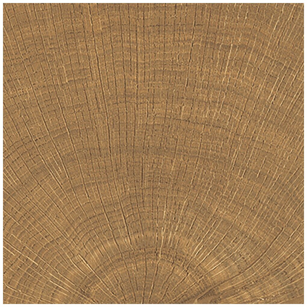 provenza w-circles walnut gres 10x10 