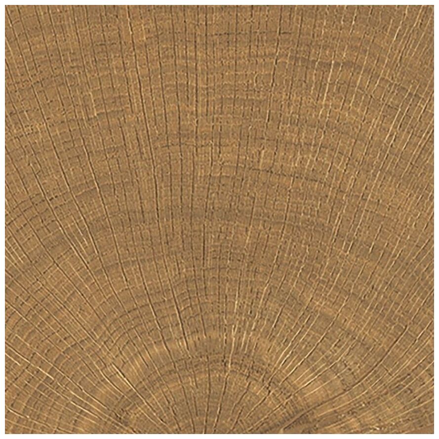 provenza w-circles walnut gres 10x10 