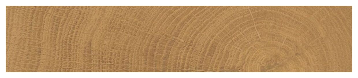 provenza w-circles walnut gres 5.3x30 