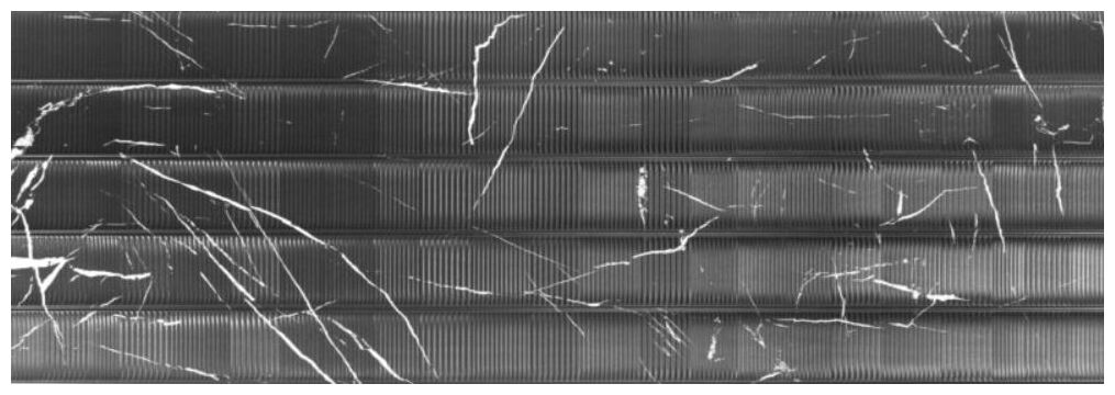 realonda shell marquina płytka ścienna 40x120 