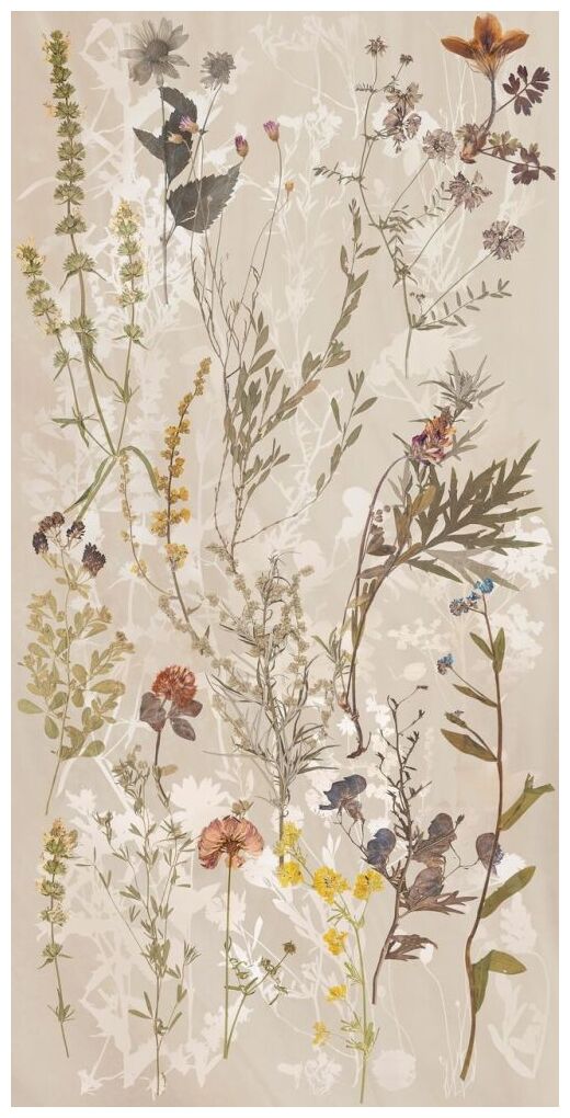 savoia italia natura felci prato caldo gres mat rektyfikowany 60x120 