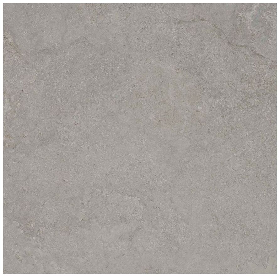 tau tu.dorset slver gres rektyfikowany 100x100x2 
