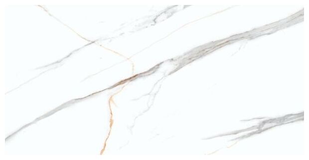 tiles ceramic marble albatros carving 60x120 (01636) 