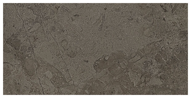 vives flysch grafito gres 30x60 