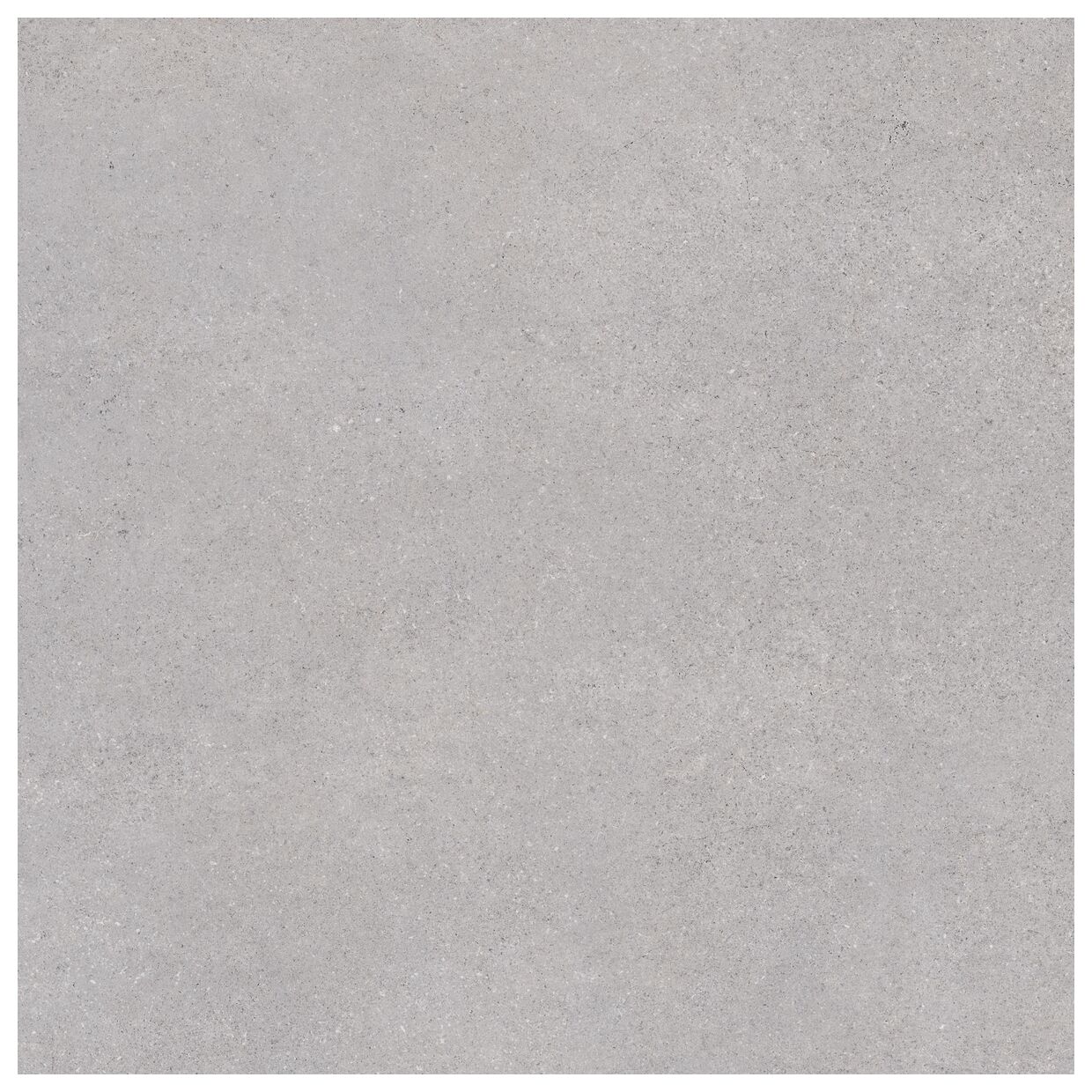 vives nassau-r gris gres rektyfikowany 80x80 