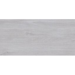 ceramika color ccr40-1 lakewood grey płytka ścienna 30x60 