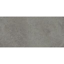 opoczno gptu 2004 2.0 grey gres rektyfikowany 59.3x119.3 