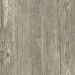 opoczno wood moments 2.0 cold grey gres rektyfikowany 59.3x59.8 