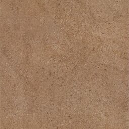 paradyż algo brown gres mat 30x30 