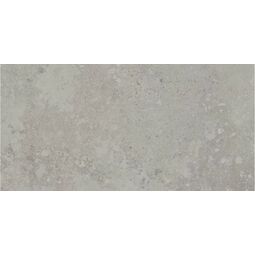 paradyż freedust grey mat gres rektyfikowany 59.8x119.8 