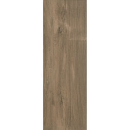 paradyż wood basic brown gres 20x60x0.8 