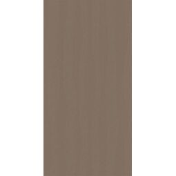 paradyż calm taupe połysk dekor 29.8x59.8 