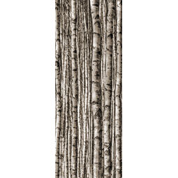 tubądzin birch dekor 4-elementowy 239.8x89.8 