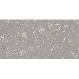 vives luna-r gris gres pulido rektyfikowany 59.3x119.3 